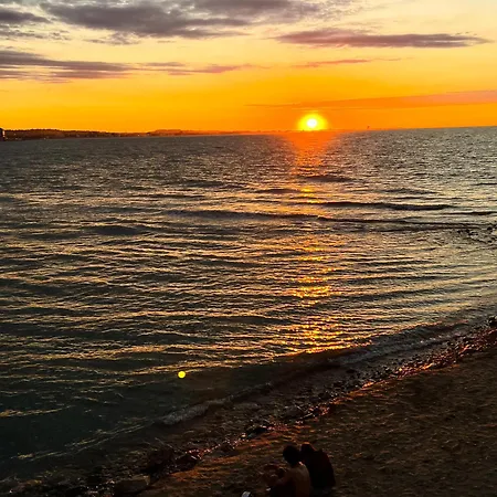 Il Cardellino Di - Your Refuge Daire