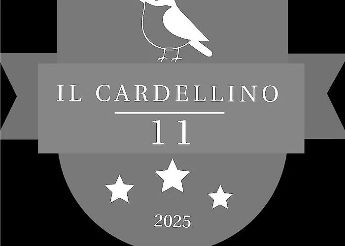 Il Cardellino Di - Your Refuge *