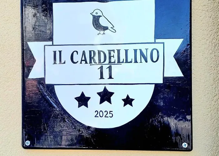 Il Cardellino Di - Your Refuge