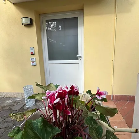 Apartment Il Cardellino Di - Your Refuge